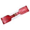 BELT WITH 2 BUCKETS Red